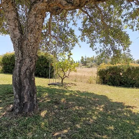 Holiday home Garden