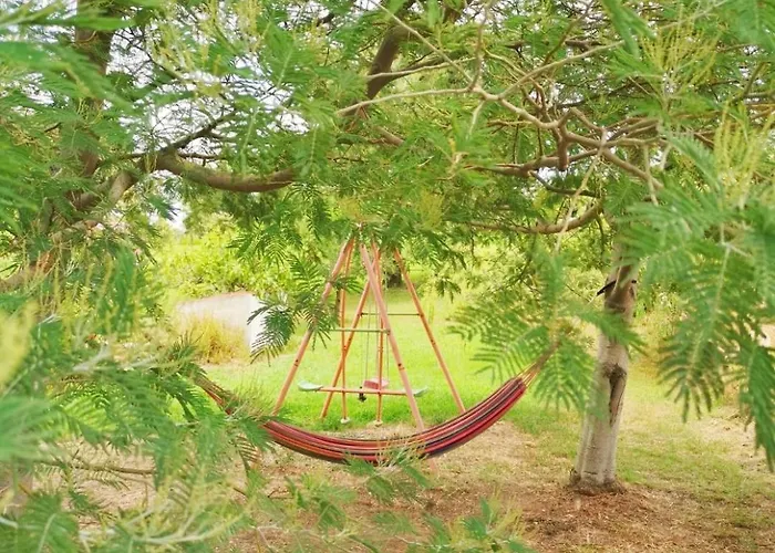 Garden *