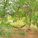Garden *