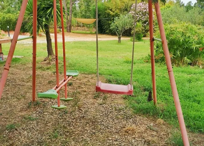 Garden *